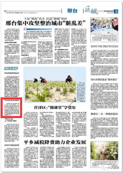 这是什么昆虫呢-专注有问必答,助您更好了解这是什么昆虫呢